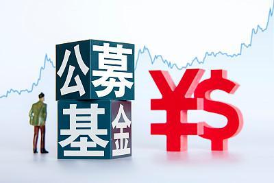 公募证券基金(公募证券基金管理公司可以设立专业子公司经营)