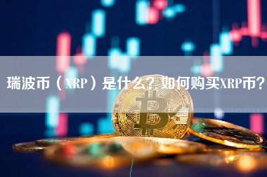 瑞波币交易所投资(瑞波币交易所app)